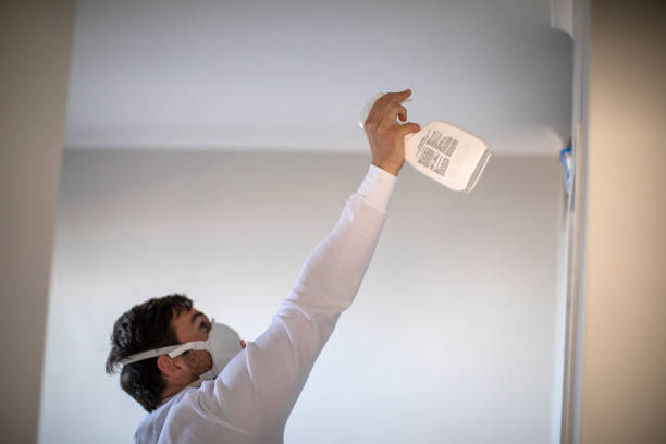 Best Mold Removal Company Near Me  in Upland, IN