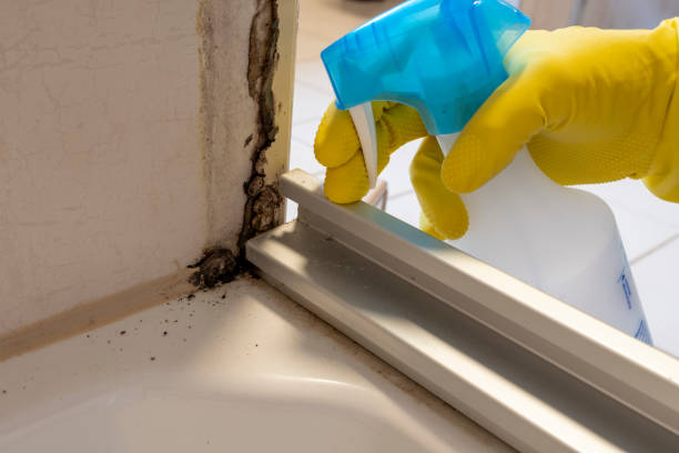 Best Crawl Space Mold Removal  in Upland, IN